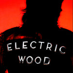 Room 1015 Electric wood 100 ML Extrait de Parfum