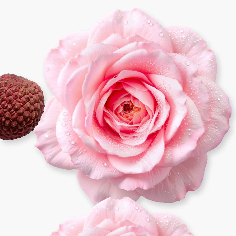 DELINA HAIR PERFUME 75 ml