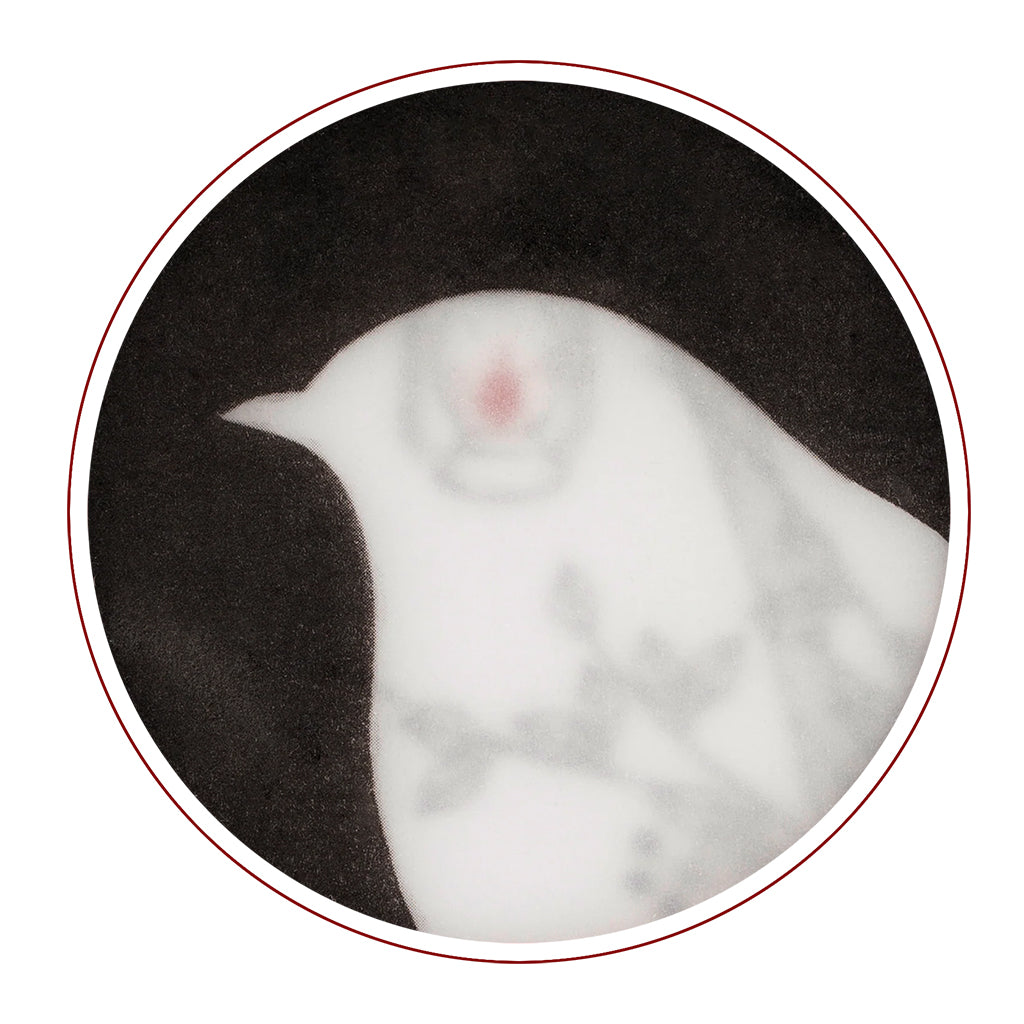 Senyokô Migration de L'Arbre 50 ML