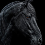 Astrophil & Stella Nabati 50 ML