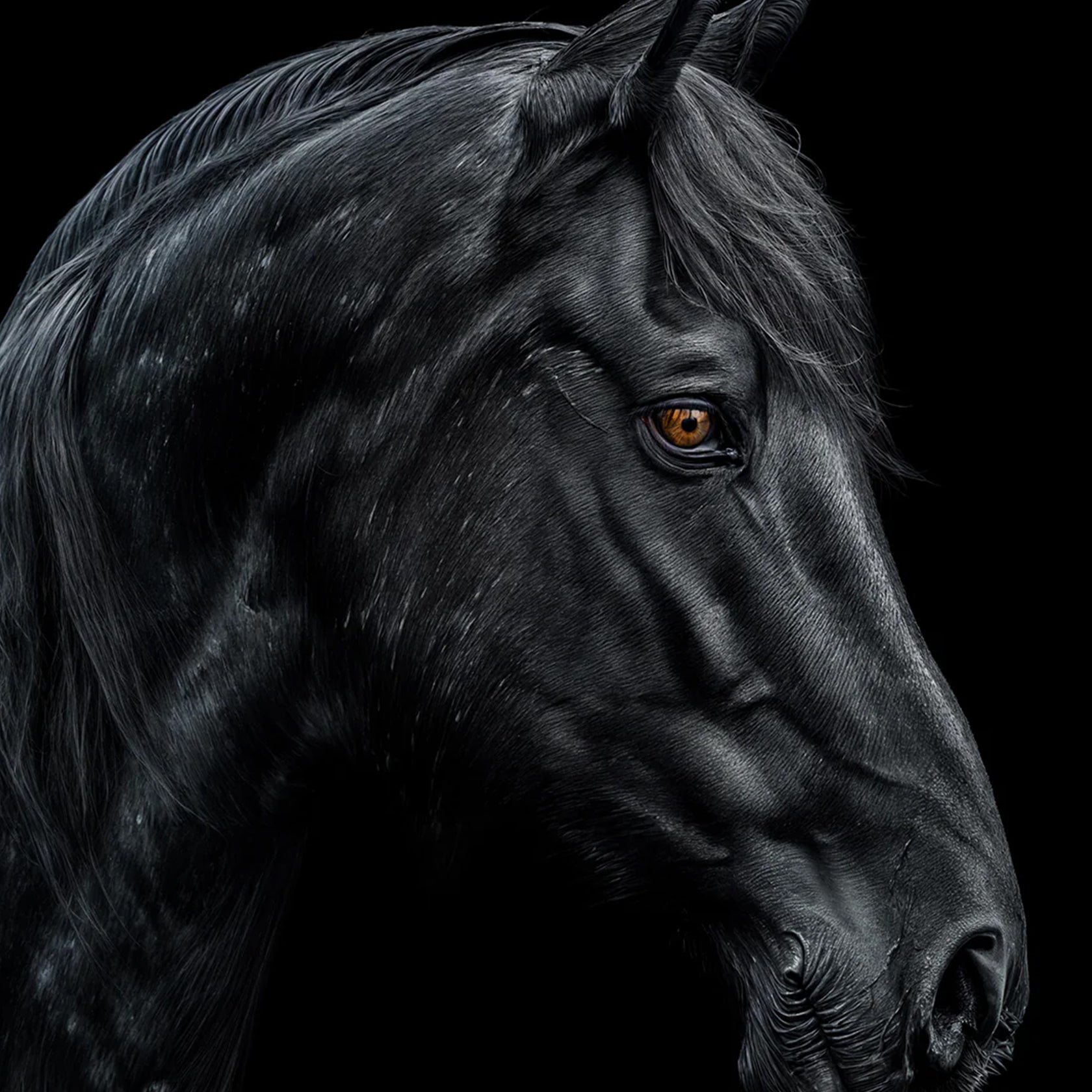 Astrophil & Stella Nabati 50 ML