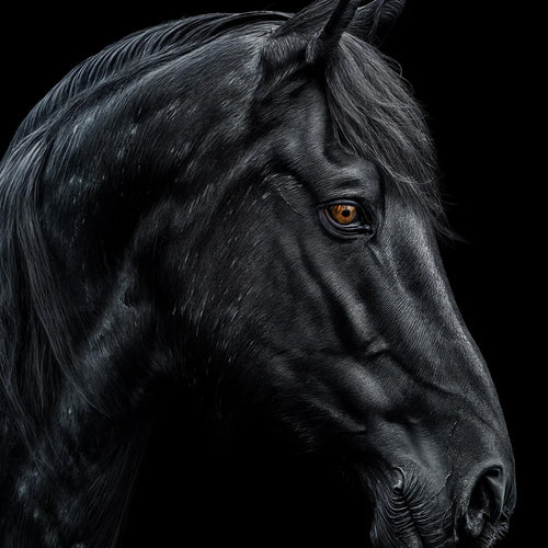 Astrophil & Stella Nabati 50 ML