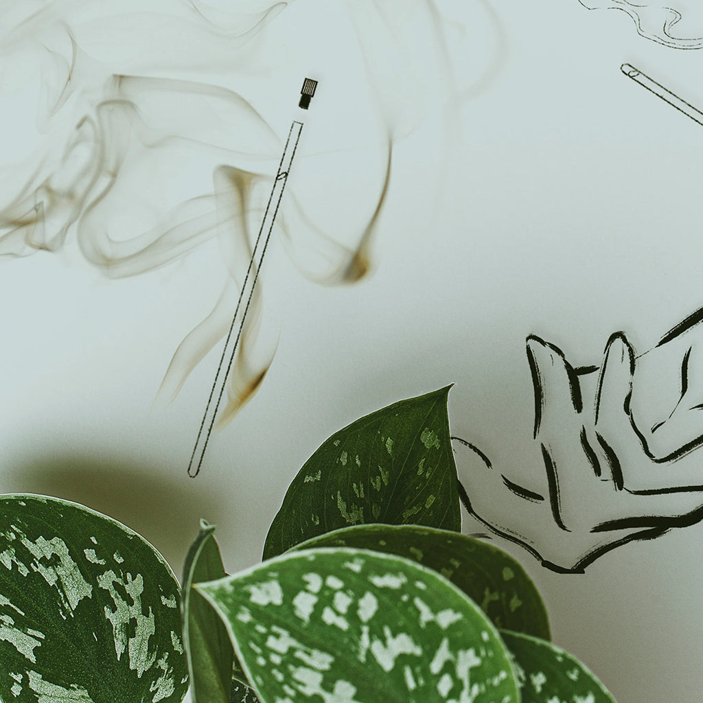 Senyokô Discovery Set