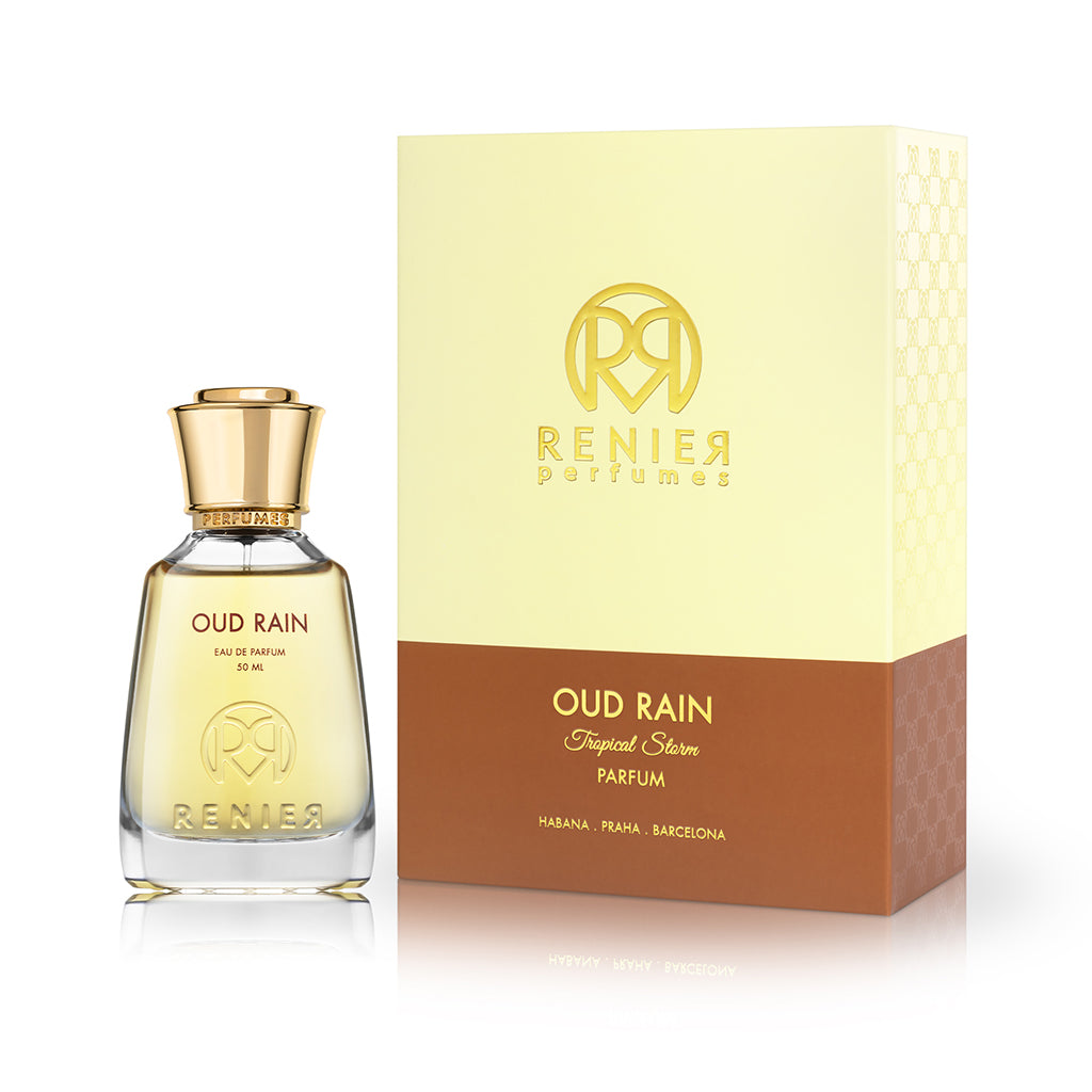 Renier Oud Rain Tropical Storm