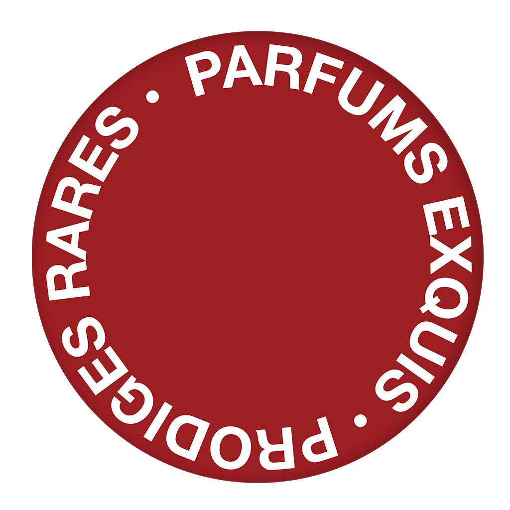 Senyokô Discovery Set