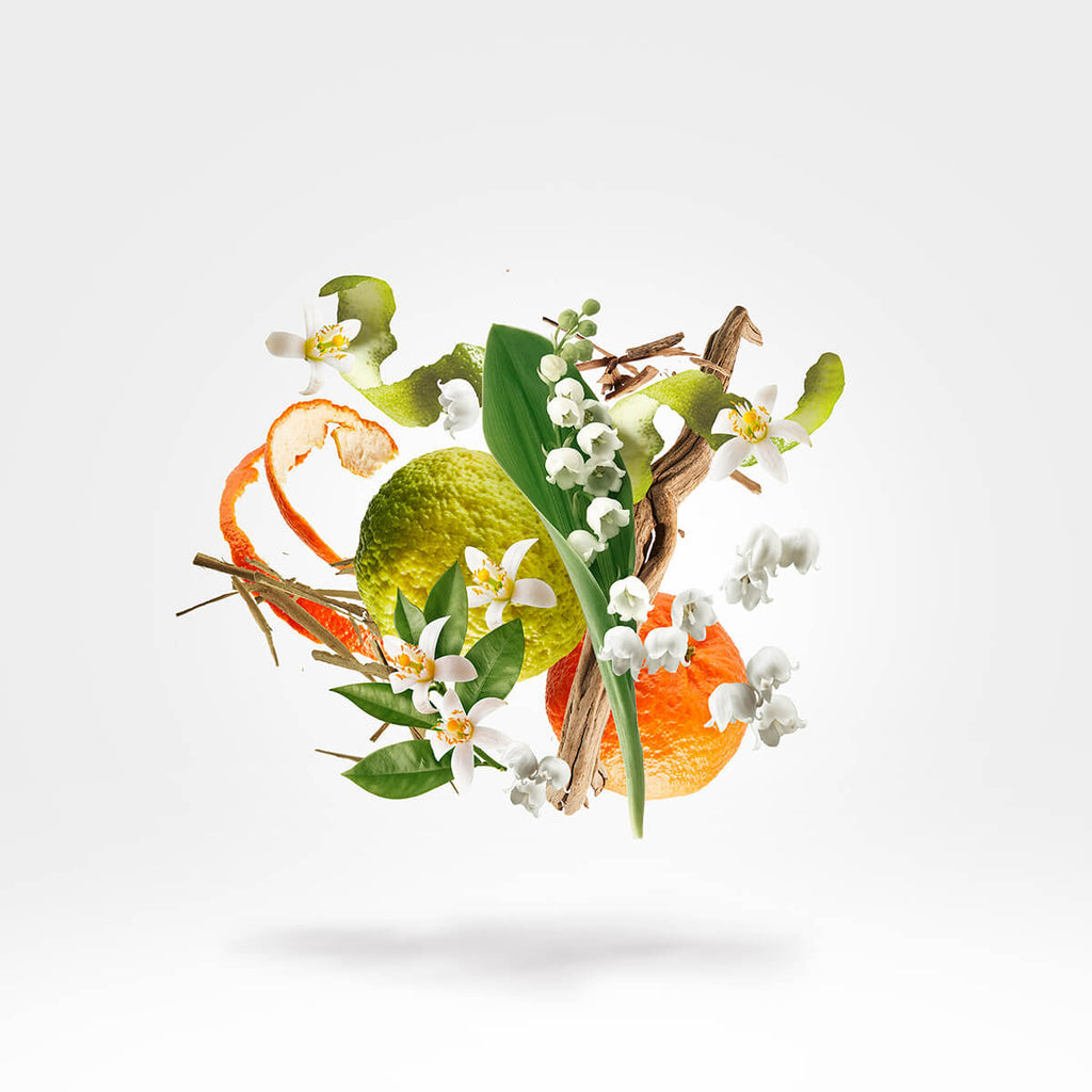 Xerjoff 1861 Renaissance EDP