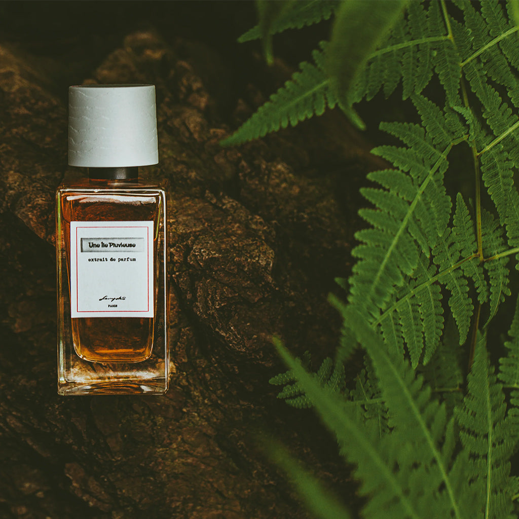 Senyokô Une Île Pluvieuse 50 ML